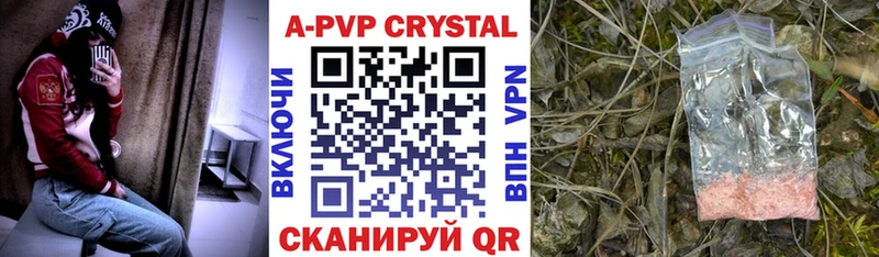 где найти   Верхоянск  A PVP СК КРИС 