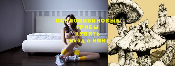 мескалин Абаза