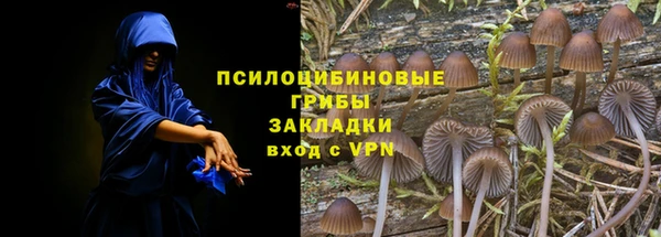 PSILOCYBIN Абдулино